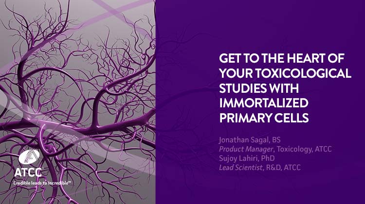 Get to the Heart of Your Toxicological Studies with Immortalized Primary Cells