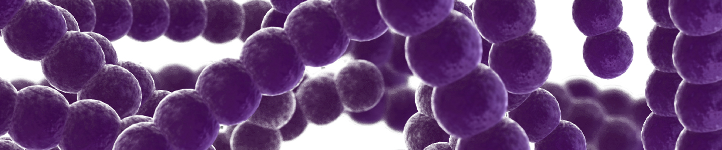 Strands of pearl-like purple Streptococci bacteria.