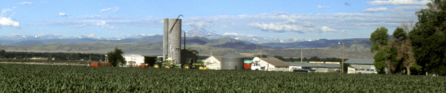 Cornfield with a silo and farm buildings and equipment.
