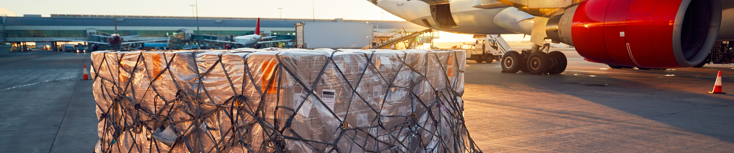 Boxes wrapped in plastic, covered in netting on a pallet near a plane at an outside airport.
