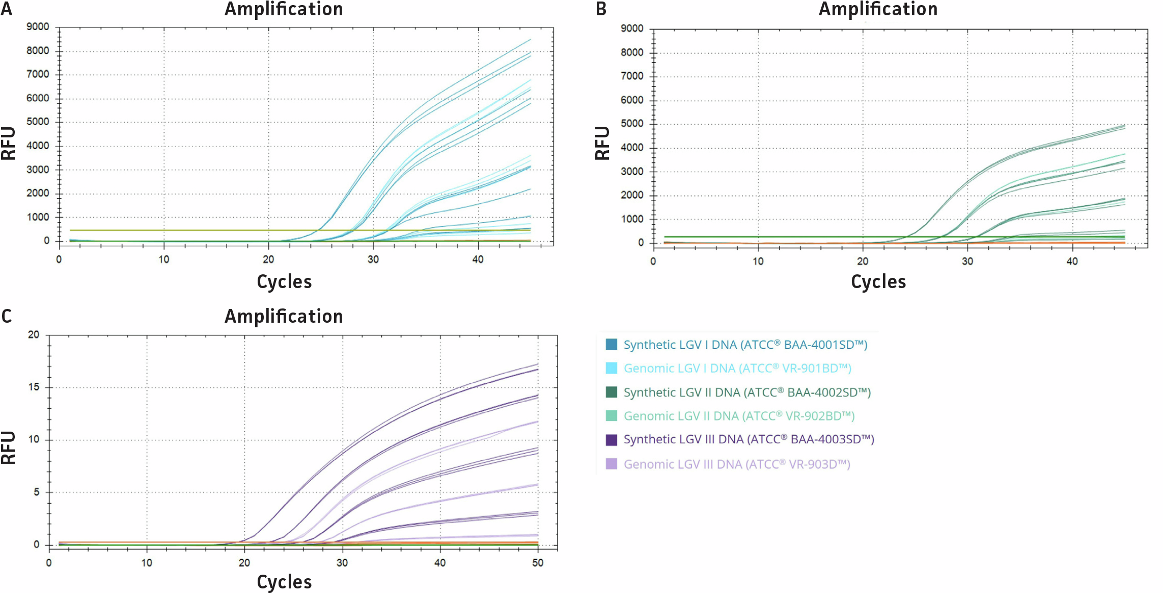 qPCR amplification plots show LGV I, LGV II, and LGV III targets from a multiplex ompA assay tested with serial dilutions of synthetic and genomic Chlamydia trachomatis DNA. Synthetic templates generally amplify similarly to genomic DNA for each serovar, although LGV III genomic DNA shows reduced amplification efficiency compared with its synthetic counterpart.