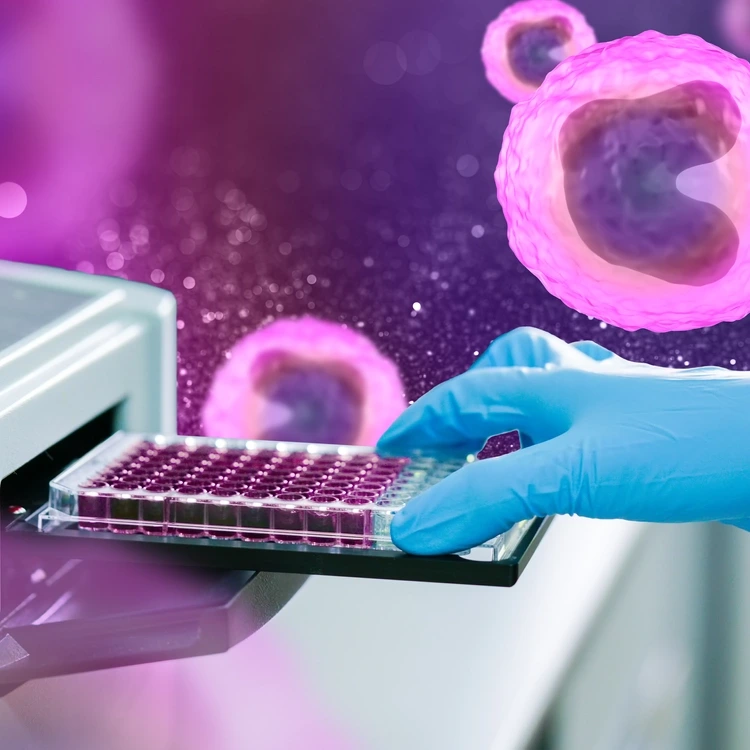 ELISA plate to measure OD with microplate reader. Microtiter plate (96 well) reader for biochemistry analysis.