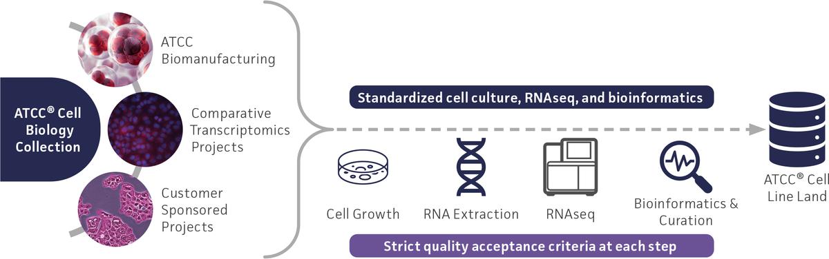 Key features of ATCC Cell Line Land