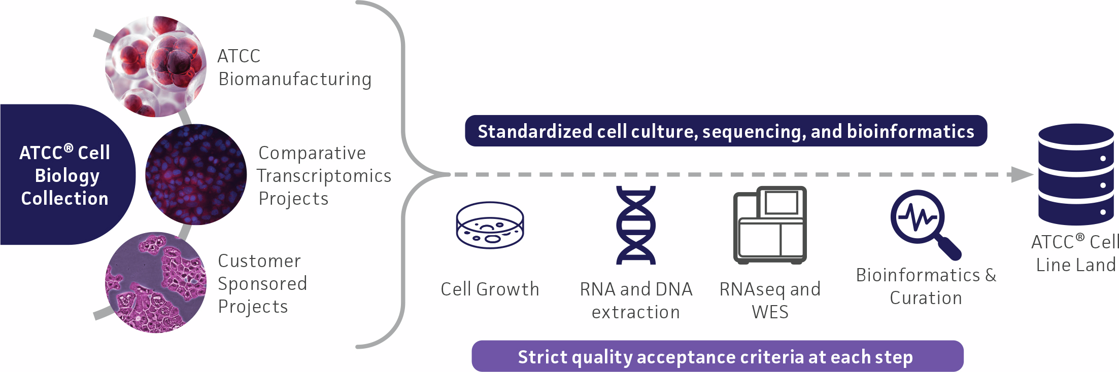 Key features of ATCC Cell Line Land