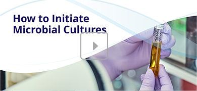 A gloved hand holds a test tube containing a liquid substance in a laboratory setting. The text "How to Initiate Microbial Cultures" appears on the image, with a play button overlay indicating a video thumbnail.
