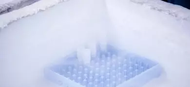 A close-up view of a cryogenic storage container with a grid of small tubes, some capped, surrounded by frost in a cold environment.