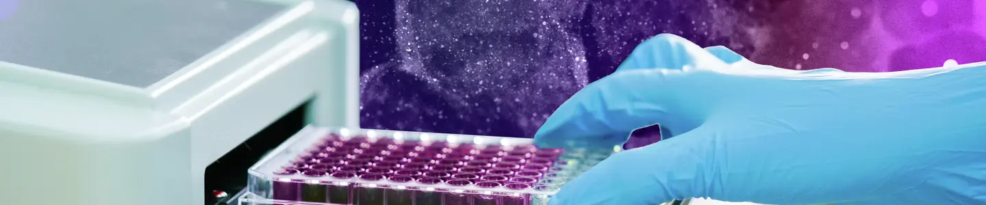 ELISA plate to measure OD with microplate reader. Microtiter plate (96 well) reader for biochemistry analysis.