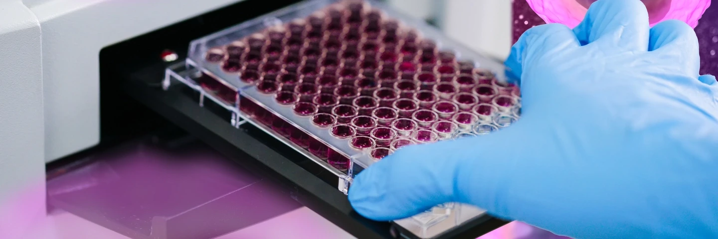 ELISA plate to measure OD with microplate reader. Microtiter plate (96 well) reader for biochemistry analysis.