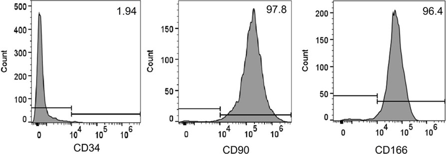 BAT Adipocyte Markers