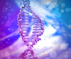 Broken DNA helix made of purple balls