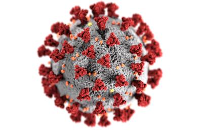 Gray coronavirus sphere with red and orange protruding particles