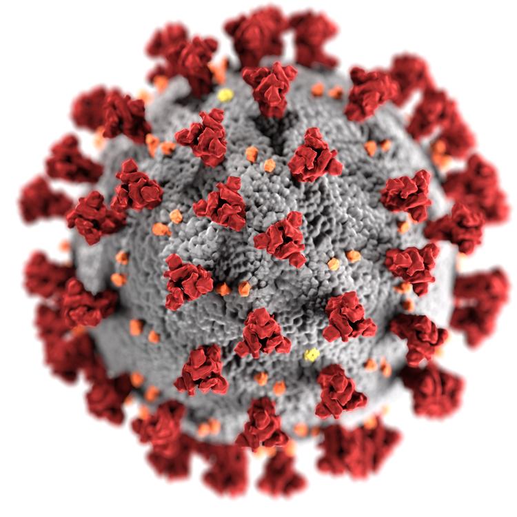 Gray coronavirus sphere with red and orange protruding particles