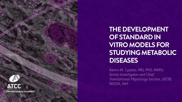 The Development of Standard In Vitro Models for Studying Metabolic Diseases