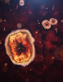 Monkeypox virus