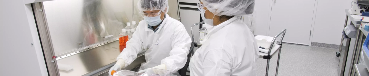 Two scientists in lab wearing hair nets, masks, safety glasses, smock, and gloves standing next to safety hood and looking at bottles containing red medium.