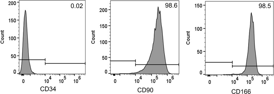 WAT Adipocyte Markers