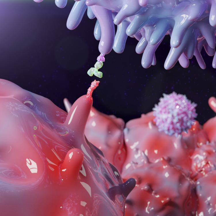 Therapeutic antibody blocking PD-1_iStock-1250270627.jpg