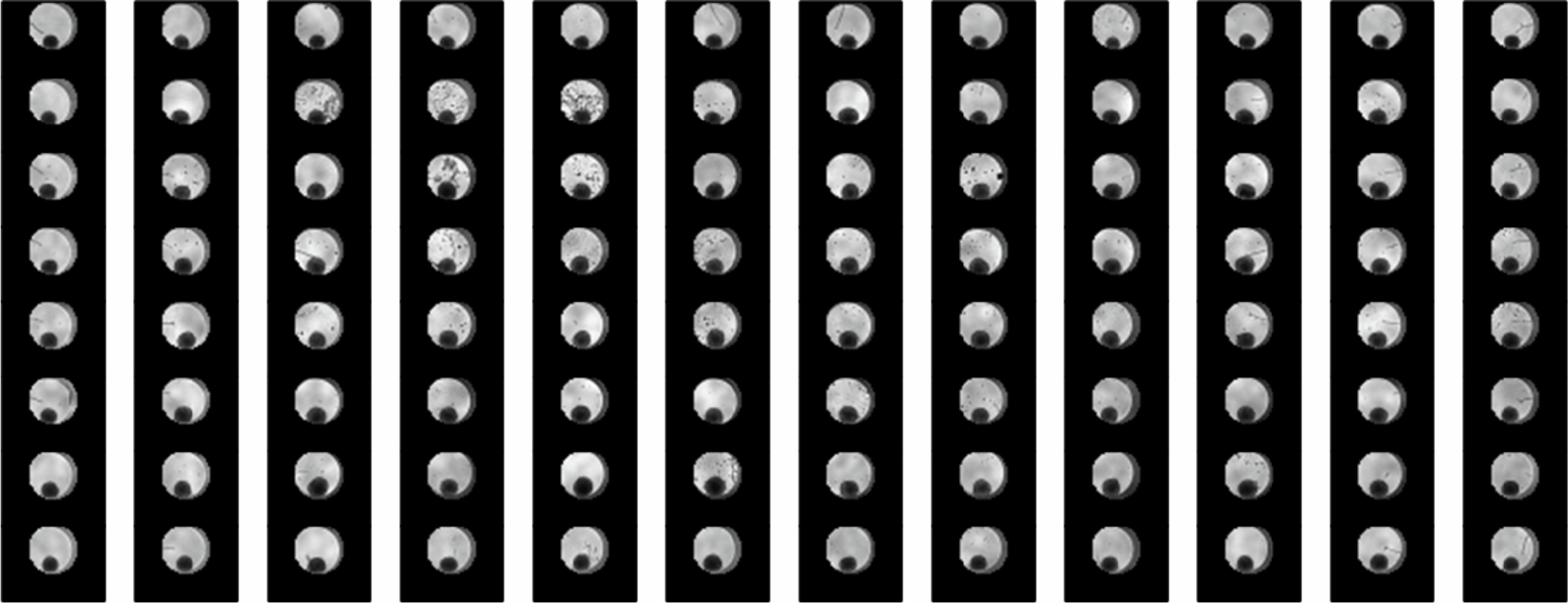 A grid of black‑and‑white well images shows uniform spheroid formation across an entire microplate, with each circular well containing a single bright spheroid at its center. The images were captured using a Cytation 5 Cell Imaging Multimode Reader to allow automated measurement of spheroid size.