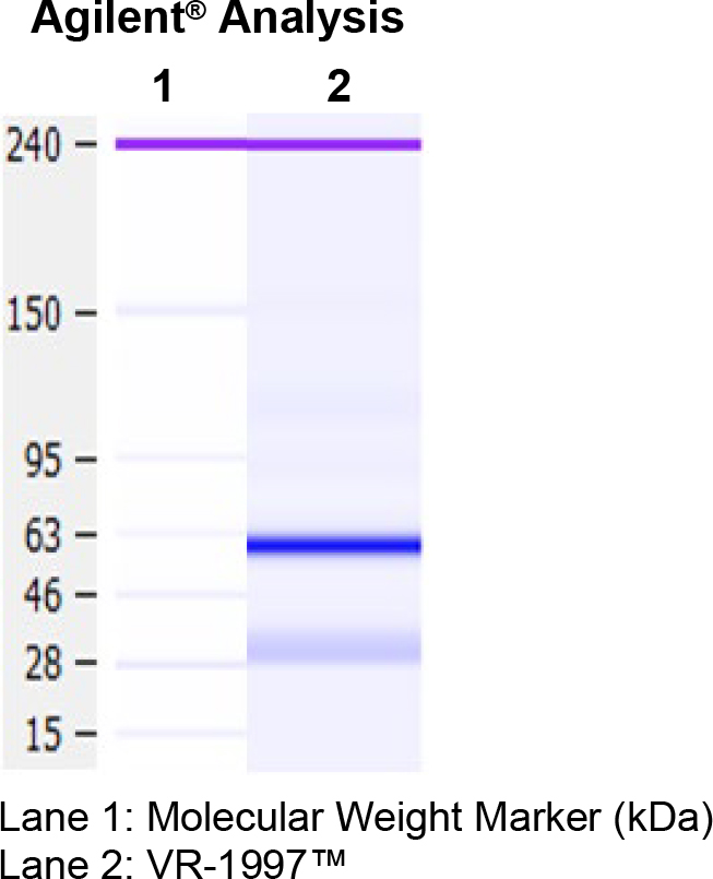 VR-1997 Molecular weight