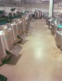 Large room full of liquid nitrogen cryopreservation tanks at biorepository.