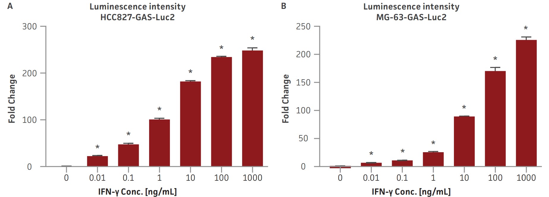 Evaluation of GAS-Luc2 cell lines via IFN-γ stimulation