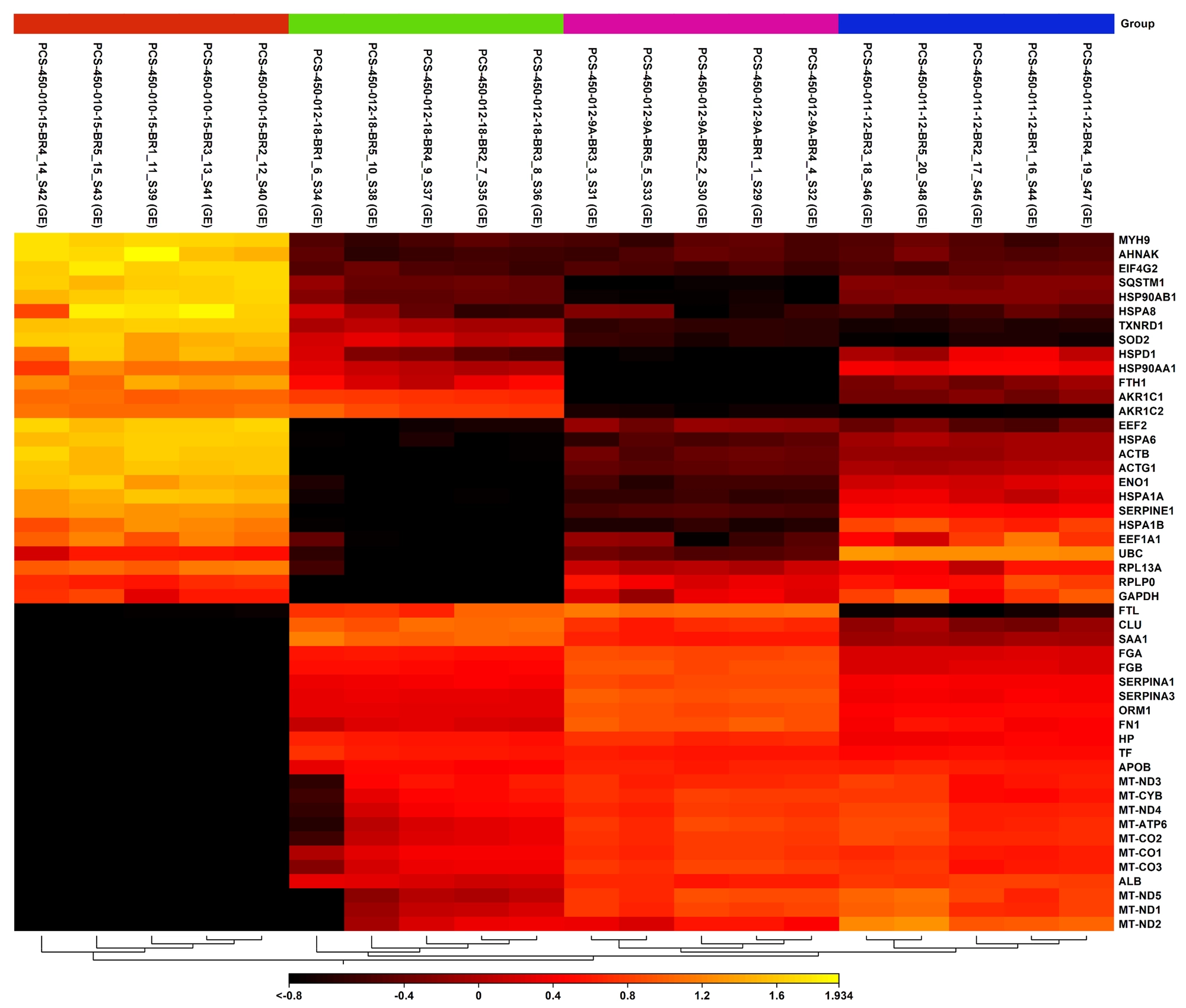 Heatmap displaying expression patterns of the top differentially expressed genes across primary human hepatocyte donors. Columns represent individual replicates grouped by donor identity, and rows represent genes, with expression levels color-coded from low (black, < -0.8) to high (yellow, 1.934).