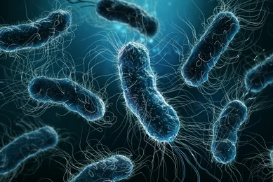 Colony of bacteria close-up 3D rendering illustration on blue background
