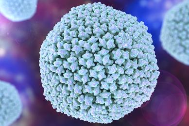 3D illustration Adenovirus type 5 virus