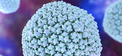 3D illustration Adenovirus type 5 virus
