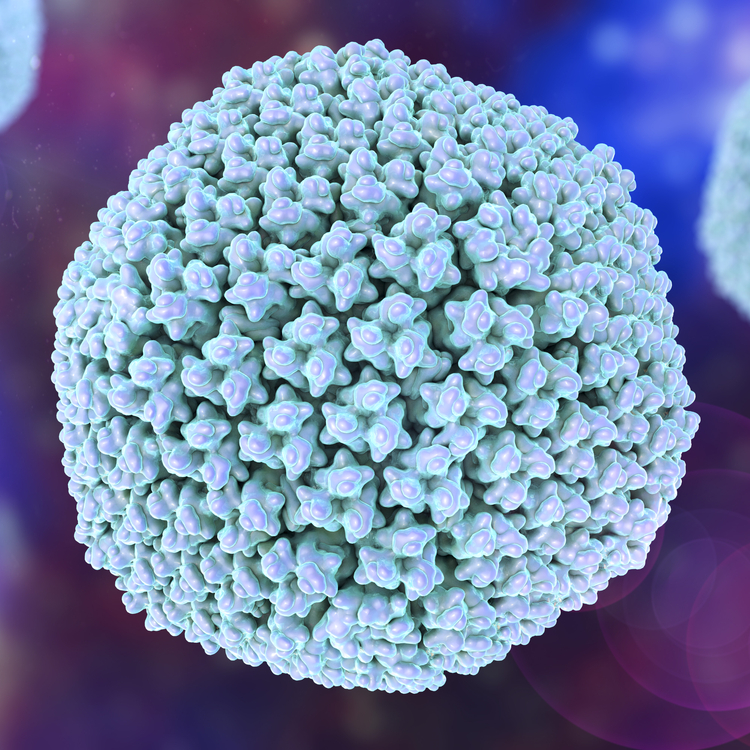3D illustration Adenovirus type 5 virus