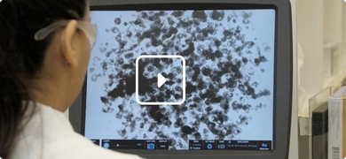Image of scientists looking at MPS on computer screen
