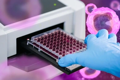 ELISA plate to measure OD with microplate reader. Microtiter plate (96 well) reader for biochemistry analysis.