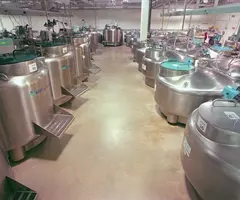 Large room full of liquid nitrogen cryopreservation tanks at biorepository.