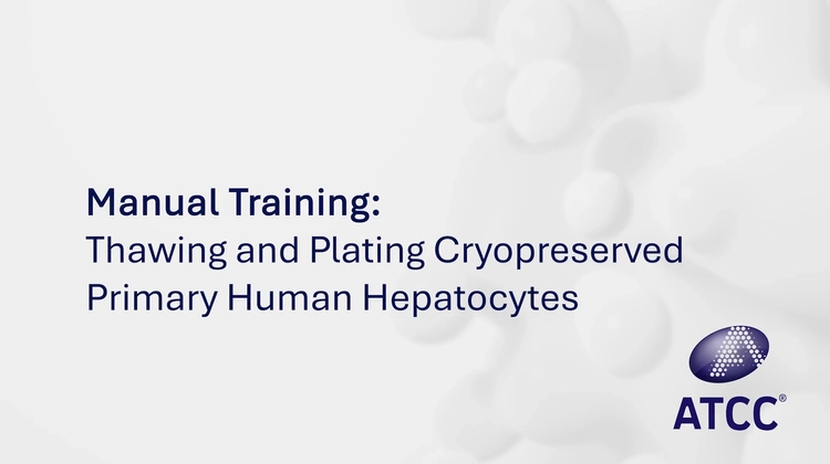 Title slide for a manual training session on thawing and plating cryopreserved primary human hepatocytes, featuring the ATCC logo.