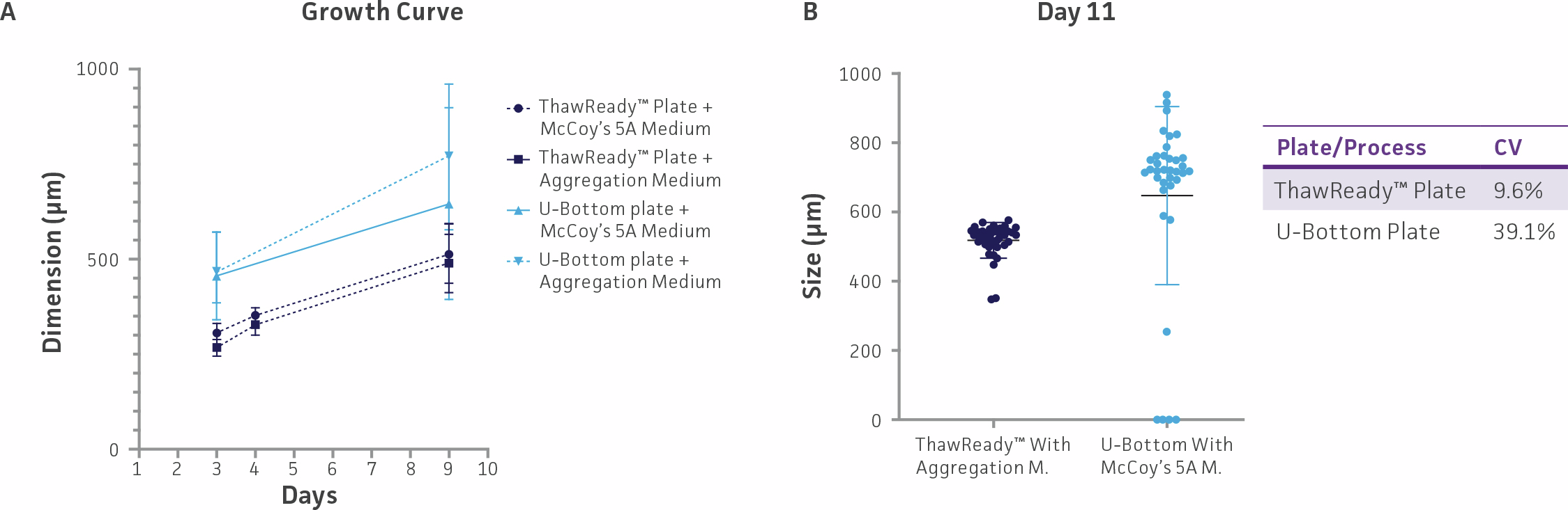 A two‑panel figure compares spheroid growth across different plate and media conditions. Panel A shows growth curves over several days for four combinations of ThawReady™ and U‑bottom plates with McCoy’s 5A or aggregation medium, while Panel B shows spheroid size measurements on Day 11 with lower variability (CV) in the ThawReady™ plate compared to the U‑bottom plate.