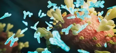 3D illustration of a virus particle with spike proteins on its surface, surrounded by glowing blue antibodies binding to the spikes, representing an immune response.