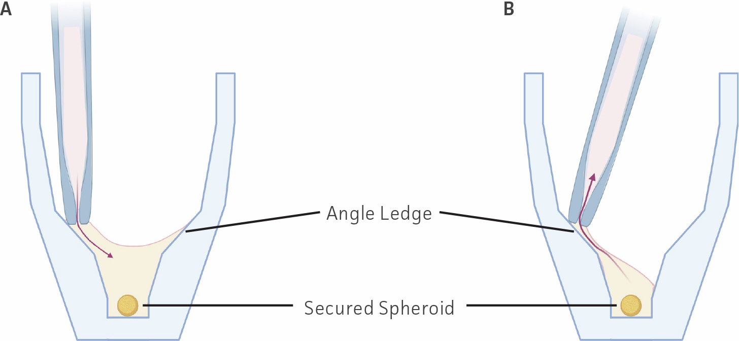 A diagram shows two pipetting techniques in a ThawReady™ well: a vertical pipette tip for adding medium and a tilted pipette tip placed against the angled ledge for gentle medium removal. The angled design helps keep the spheroid secured and minimizes disturbance. (Image created with BioRender.com.)