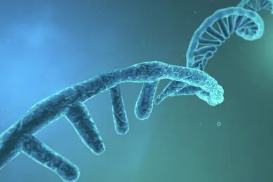3D rendering of RNA strand