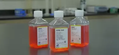 Three bottles of cell culture media labeled DMEM, RPMI-1640, and EMEM are placed on a laboratory bench. Each bottle contains an orange-red liquid and has a white cap with detailed labeling.