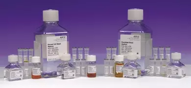 Two large bottles labeled "Dermal Cell Basal Medium" and "Fibroblast Basal Medium" are displayed with several smaller vials and bottles arranged in front, all set against a blue background.