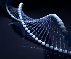 Blue DNA strand with sides made of light blue balls.