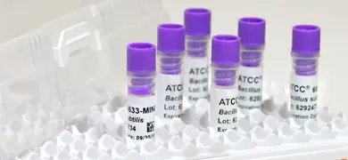 ATCC Minis in rack bacillus subtilis