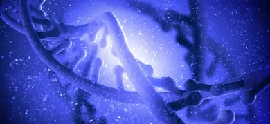 Blue, purple, and white parts of DNA strand.