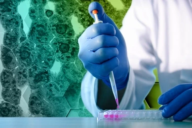 Scientist using pipette to fill well-plate