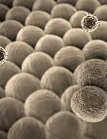 T-lymphocyte cancer cells.