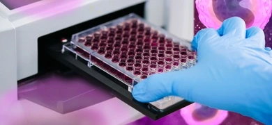 ELISA plate to measure OD with microplate reader. Microtiter plate (96 well) reader for biochemistry analysis.