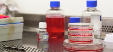 A laboratory bench displays petri dishes filled with red liquid, bottles with blue caps, and various scientific lab equipment arranged for an experiment.