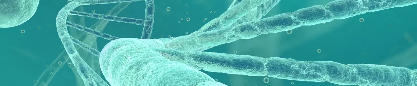 Translucent green DNA strands.