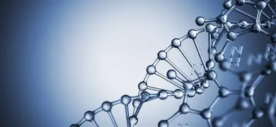 Clear blue DNA helix strand.