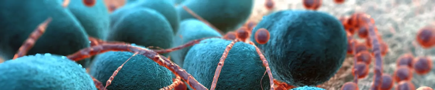 Closeup of teal-blue Escherichia coli balls covered in red yard-like strings.